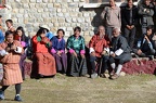 IMG 1019~photo