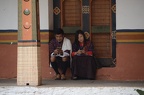 IMG 1515~photo