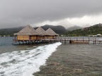 tahiti 037