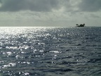 tahiti 704